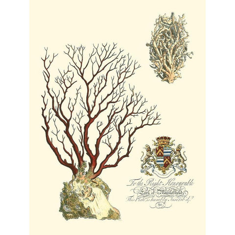 Custom Imperial Coral III Gold Ornate Wood Framed Art Print with Double Matting by Vision Studio