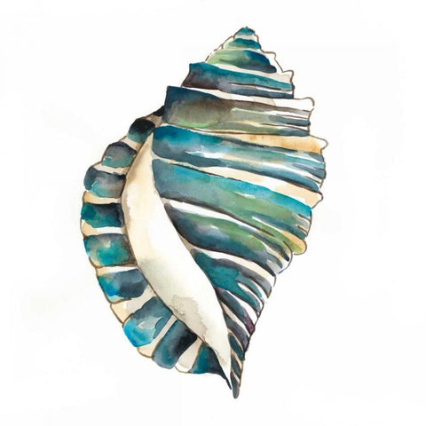 Aquarelle Shells I Black Modern Wood Framed Art Print with Double Matting by Zarris, Chariklia