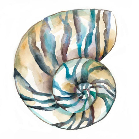 Aquarelle Shells II Black Modern Wood Framed Art Print with Double Matting by Zarris, Chariklia