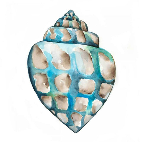 Aquarelle Shells V White Modern Wood Framed Art Print with Double Matting by Zarris, Chariklia