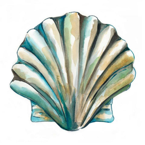 Aquarelle Shells VI Black Ornate Wood Framed Art Print with Double Matting by Zarris, Chariklia