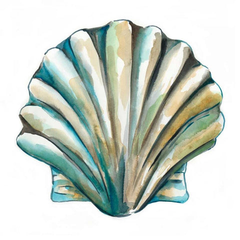 Aquarelle Shells VI White Modern Wood Framed Art Print with Double Matting by Zarris, Chariklia