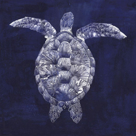Custom Sea Turtle Shadow I (ASH) Black Modern Wood Framed Art Print by Popp, Grace