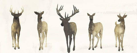 Deer Herd II White Modern Wood Framed Art Print with Double Matting by Popp, Grace