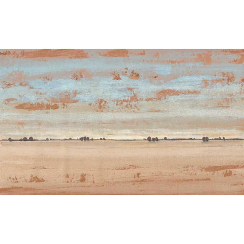 Southwest Vista II White Modern Wood Framed Art Print by OToole, Tim