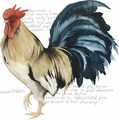 Roosters Crow II White Modern Wood Framed Art Print with Double Matting by Popp, Grace