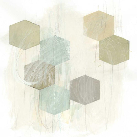 Image Only