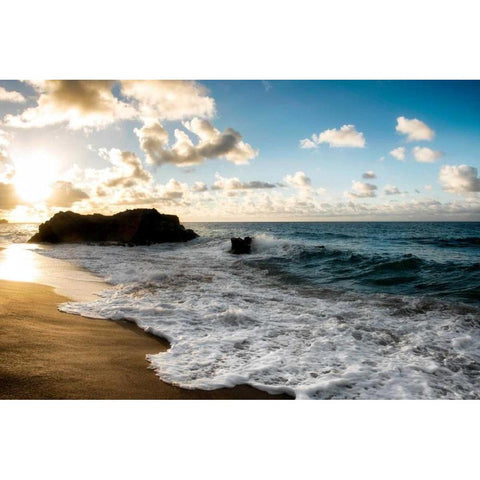 Pounding Surf Gold Ornate Wood Framed Art Print with Double Matting by Head, Danny