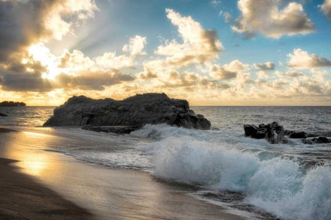 Crash Black Ornate Wood Framed Art Print with Double Matting by Head, Danny