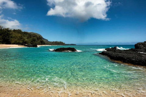 Paradise White Modern Wood Framed Art Print with Double Matting by Head, Danny