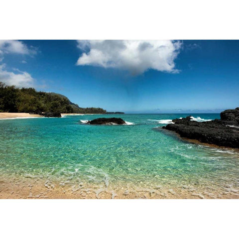 Paradise Black Modern Wood Framed Art Print by Head, Danny