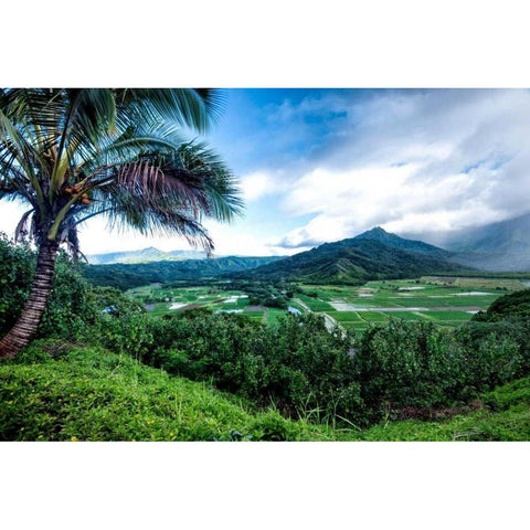 Hanalei Valley Black Modern Wood Framed Art Print by Head, Danny
