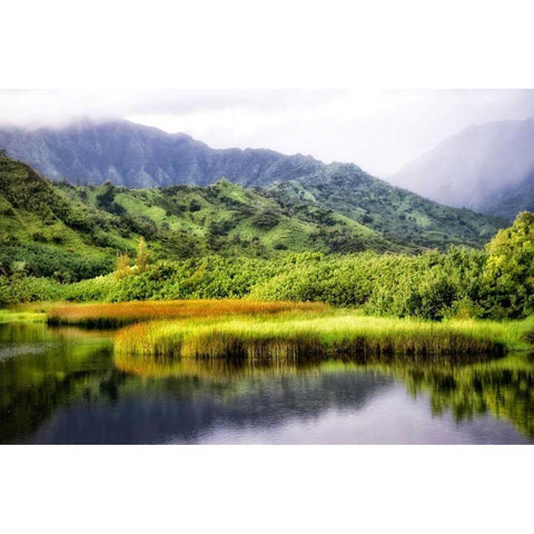 Coastal Marsh II Gold Ornate Wood Framed Art Print with Double Matting by Head, Danny