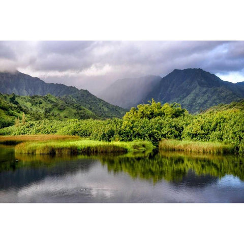 Coastal Marsh III Black Modern Wood Framed Art Print with Double Matting by Head, Danny