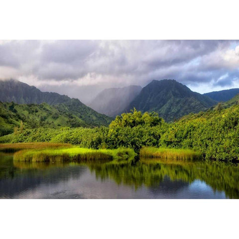 Coastal Marsh IV Gold Ornate Wood Framed Art Print with Double Matting by Head, Danny