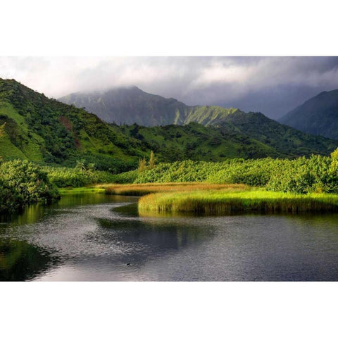 Coastal Marsh V Black Modern Wood Framed Art Print by Head, Danny