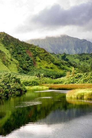 Coastal Marsh Triptych I White Modern Wood Framed Art Print with Double Matting by Head, Danny