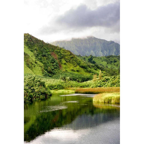 Coastal Marsh Triptych I Black Modern Wood Framed Art Print by Head, Danny