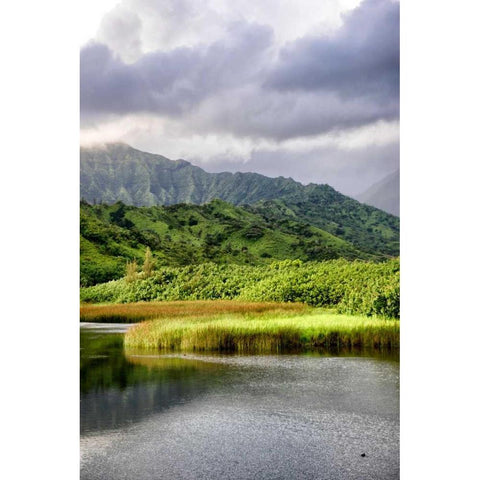 Coastal Marsh Triptych II Black Modern Wood Framed Art Print by Head, Danny