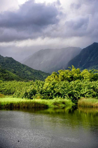 Coastal Marsh Triptych III White Modern Wood Framed Art Print with Double Matting by Head, Danny