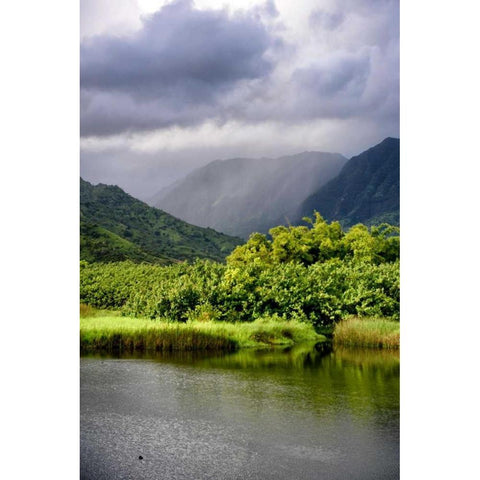 Coastal Marsh Triptych III Black Modern Wood Framed Art Print by Head, Danny