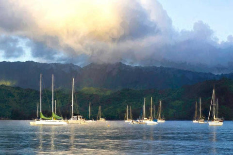 Anchored Black Ornate Wood Framed Art Print with Double Matting by Head, Danny