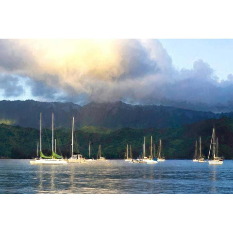 Anchored Black Modern Wood Framed Art Print by Head, Danny