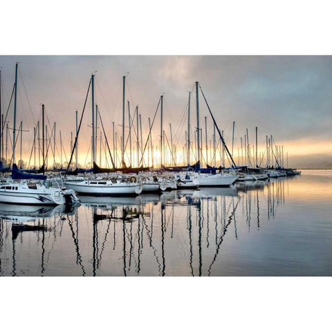 Gold and Blue White Modern Wood Framed Art Print by Head, Danny