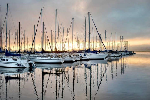 Gold and Blue White Modern Wood Framed Art Print with Double Matting by Head, Danny