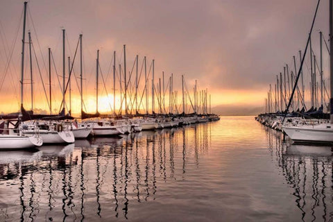 At First Light Black Ornate Wood Framed Art Print with Double Matting by Head, Danny