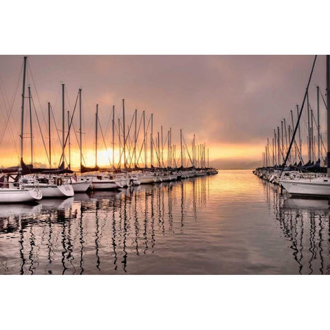 At First Light Black Modern Wood Framed Art Print by Head, Danny