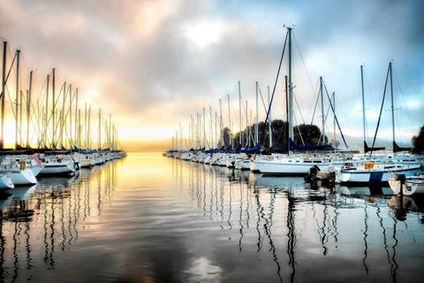 Sleeping Marina Black Ornate Wood Framed Art Print with Double Matting by Head, Danny