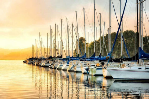 Twelve in a Row White Modern Wood Framed Art Print with Double Matting by Head, Danny