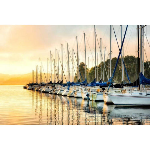 Twelve in a Row Black Modern Wood Framed Art Print by Head, Danny