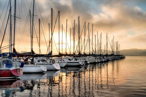 Take me Away Black Ornate Wood Framed Art Print with Double Matting by Head, Danny