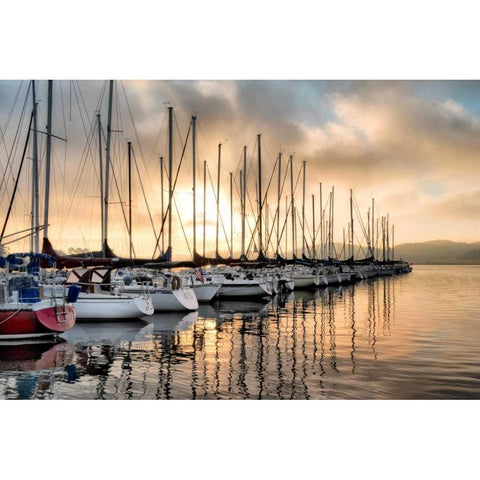 Take me Away Black Modern Wood Framed Art Print by Head, Danny