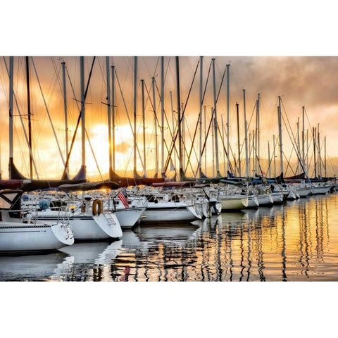 Backlit Marina White Modern Wood Framed Art Print by Head, Danny