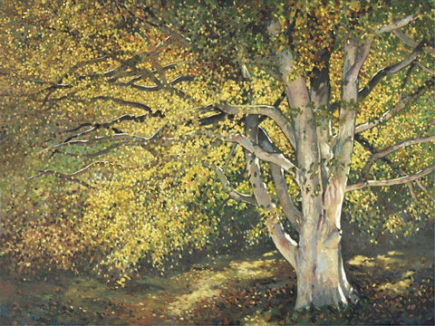 Custom Golden Light I (ASH) White Modern Wood Framed Art Print with Double Matting by Reynolds, Graham