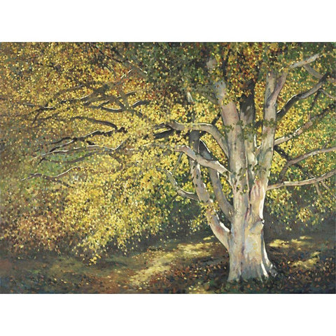 Custom Golden Light I (ASH) Gold Ornate Wood Framed Art Print with Double Matting by Reynolds, Graham