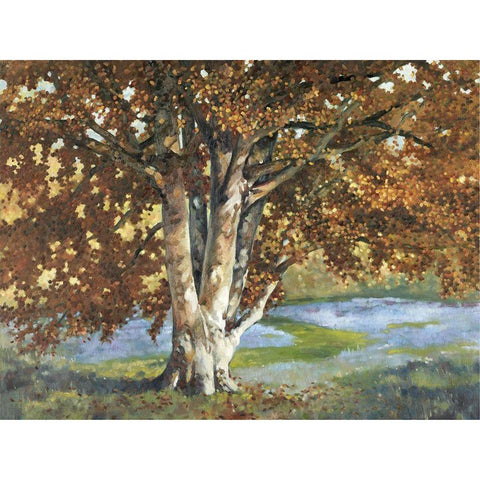 Custom Golden Light II (ASH) Black Modern Wood Framed Art Print with Double Matting by Reynolds, Graham