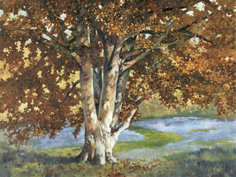 Custom Golden Light II (ASH) White Modern Wood Framed Art Print with Double Matting by Reynolds, Graham