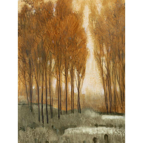 Custom Golden Forest II (ASH) White Modern Wood Framed Art Print by OToole, Tim