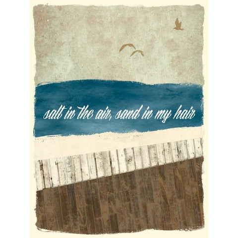 Boardwalk Reverie I Black Modern Wood Framed Art Print with Double Matting by Damon, Chris