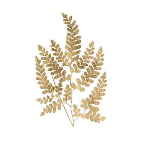 Graphic Gold Fern II Black Modern Wood Framed Art Print by Studio W