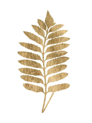 Graphic Gold Fern III White Modern Wood Framed Art Print with Double Matting by Studio W