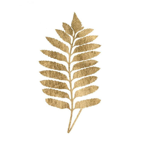 Graphic Gold Fern III Black Modern Wood Framed Art Print by Studio W