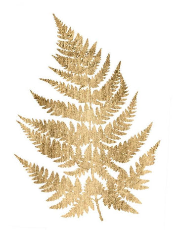 Graphic Gold Fern IV Black Ornate Wood Framed Art Print with Double Matting by Studio W