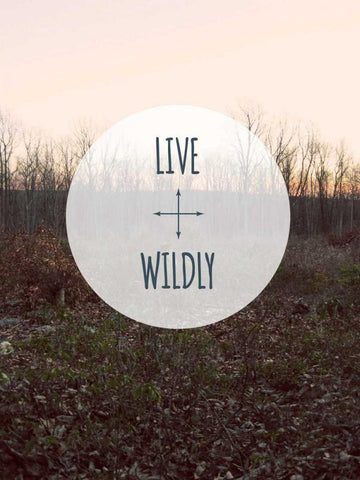 Centered Sentiment I White Modern Wood Framed Art Print with Double Matting by Fagalde, Jarman