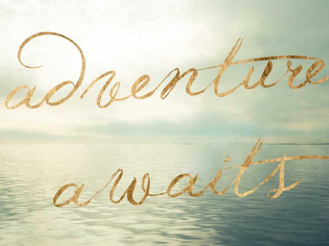 Water Bliss II Black Ornate Wood Framed Art Print with Double Matting by Quintero, Sonja