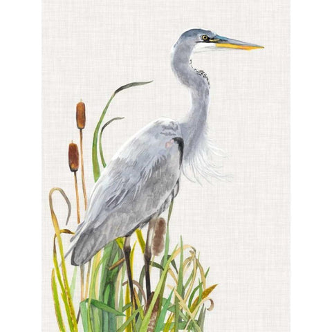 Waterbirds and Cattails I Gold Ornate Wood Framed Art Print with Double Matting by McCavitt, Naomi